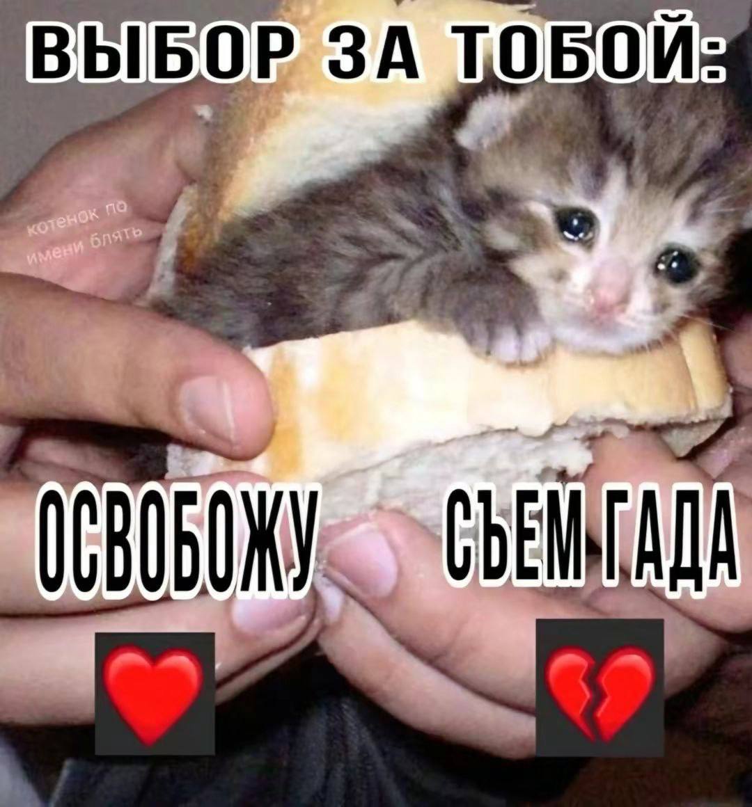 D3ADWIRE, 16 лет, Московская область