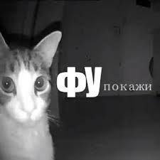 Гидя, 16 лет, Челябинск