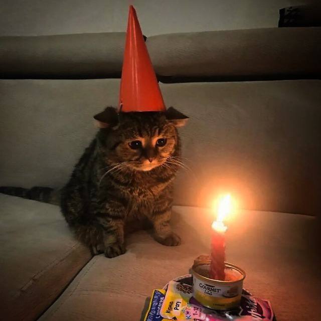 D3D_RIN, 18 лет, Кемерово