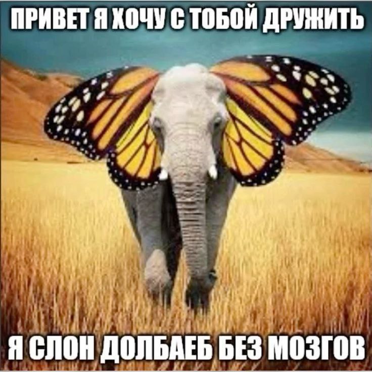 Lowk, 18 лет, Москва