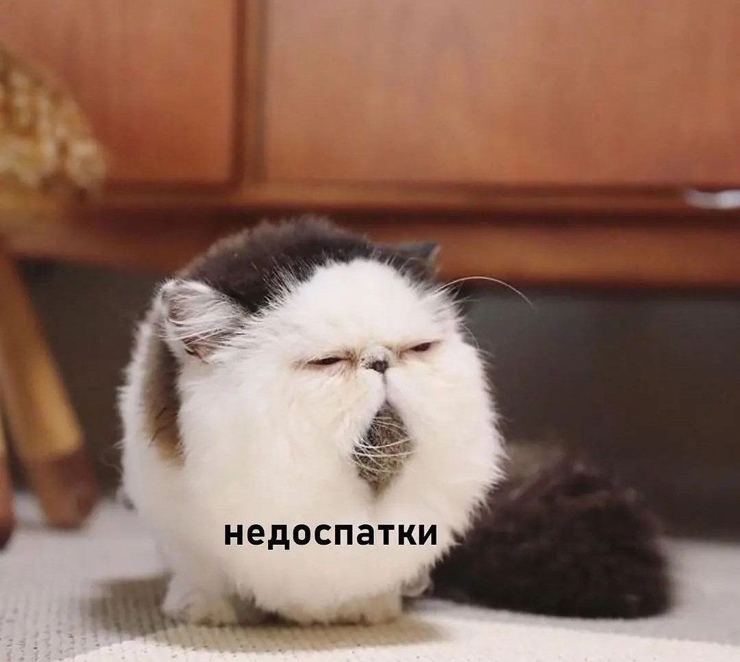 Dragunov, 27 лет, Норильск