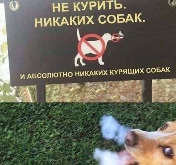 Женёк, 23 лет, Пенза