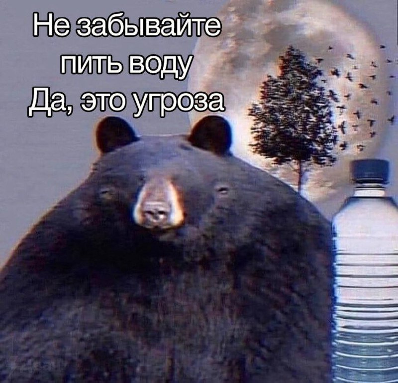 Да да я., 23 лет, Самара