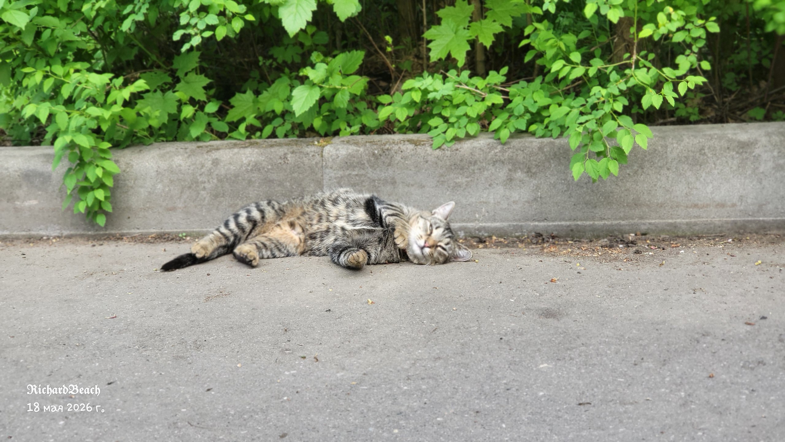 Ник, 17 лет, Москва