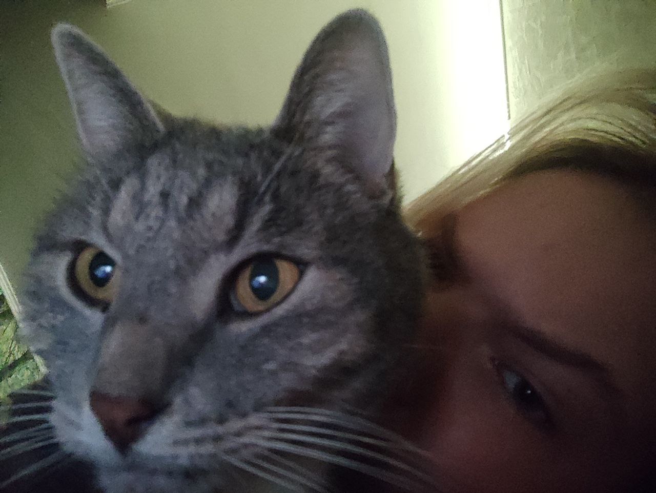 Junai, 22 лет, Одинцово
