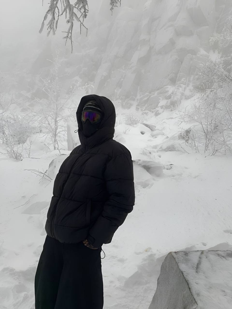 Robert, 20 лет, Московская область