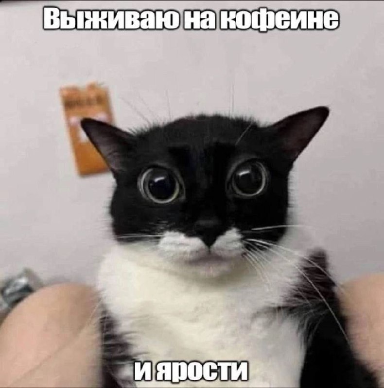 Лёша/Лёха/Роззи., 19 лет, Екатеринбург
